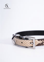 The "Serpentine Sovereign" Choker