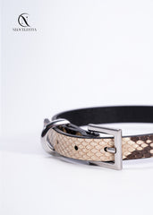 The "Serpentine Sovereign" Choker